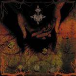 Realm Of Carnivora : Ancient Ire